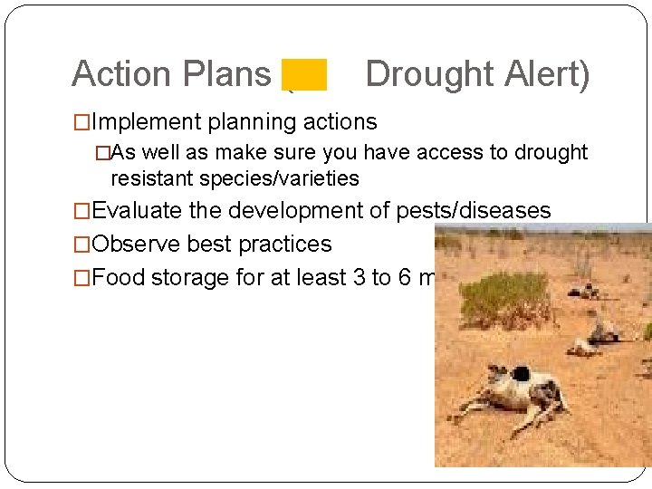Action Plans ( Drought Alert) �Implement planning actions �As well as make sure you