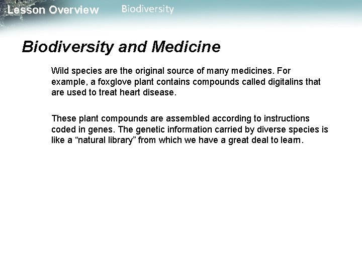 Lesson Overview Biodiversity and Medicine Wild species are the original source of many medicines.