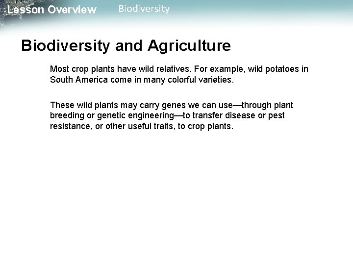 Lesson Overview Biodiversity and Agriculture Most crop plants have wild relatives. For example, wild