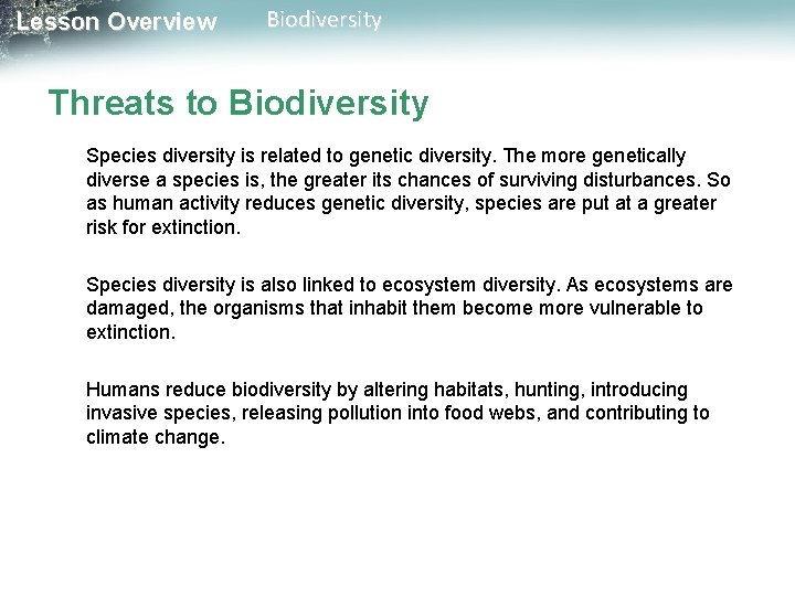 Lesson Overview Biodiversity Threats to Biodiversity Species diversity is related to genetic diversity. The