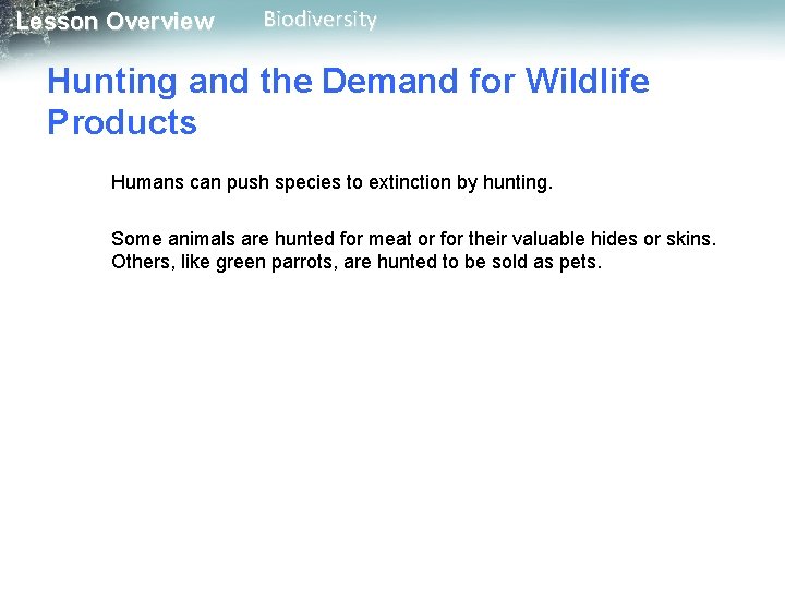 Lesson Overview Biodiversity Hunting and the Demand for Wildlife Products Humans can push species