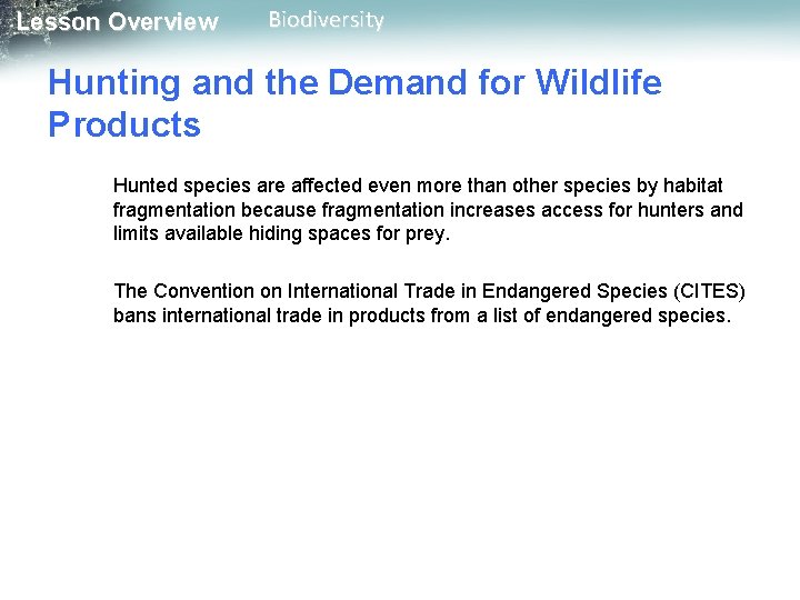 Lesson Overview Biodiversity Hunting and the Demand for Wildlife Products Hunted species are affected