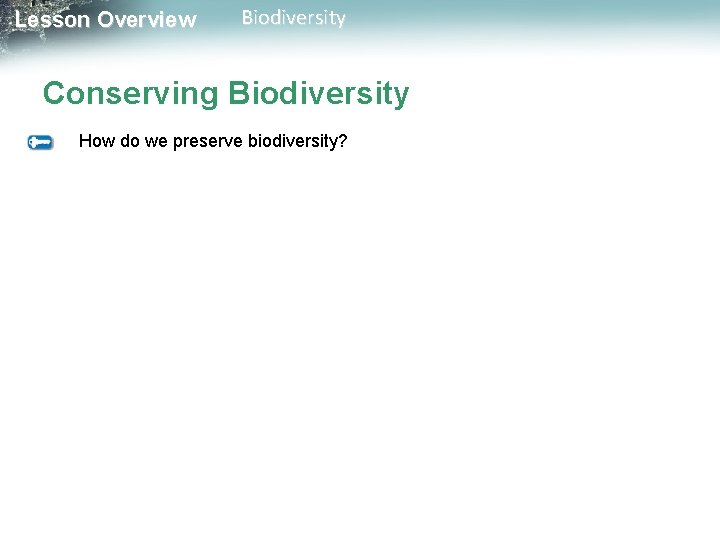 Lesson Overview Biodiversity Conserving Biodiversity How do we preserve biodiversity? 