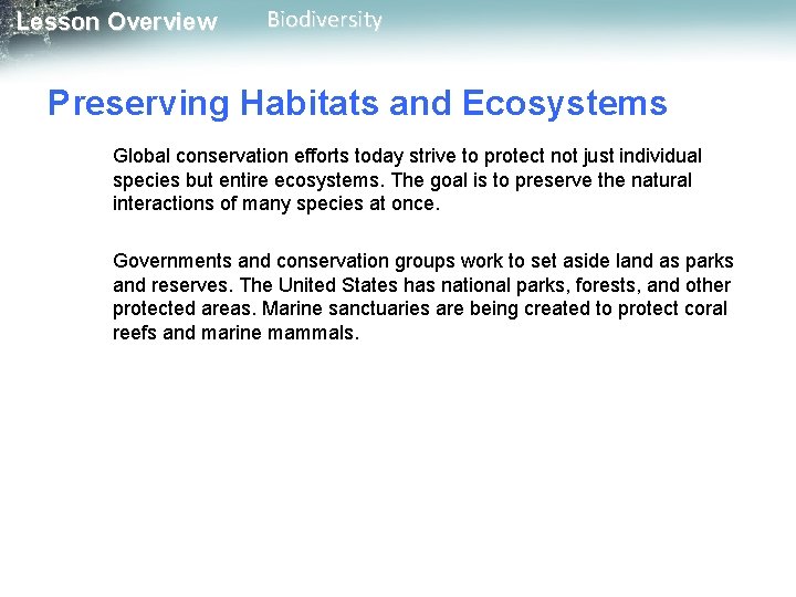 Lesson Overview Biodiversity Preserving Habitats and Ecosystems Global conservation efforts today strive to protect