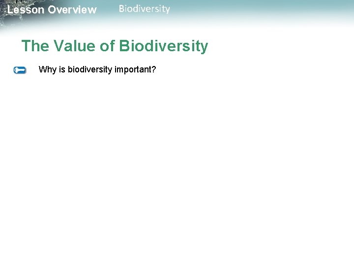Lesson Overview Biodiversity The Value of Biodiversity Why is biodiversity important? 