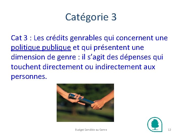 Catégorie 3 Cat 3 : Les crédits genrables qui concernent une politique publique et