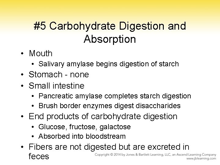 #5 Carbohydrate Digestion and Absorption • Mouth • Salivary amylase begins digestion of starch #5 Carbohydrate Digestion and Absorption • Mouth • Salivary amylase begins digestion of starch