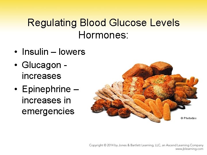 Regulating Blood Glucose Levels Hormones: • Insulin – lowers • Glucagon increases • Epinephrine