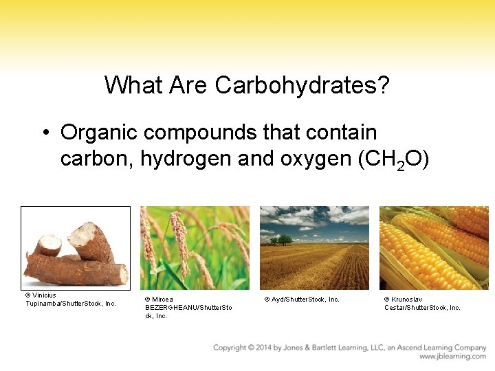 What Are Carbohydrates? • Organic compounds that contain carbon, hydrogen and oxygen (CH 2