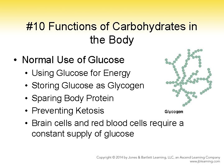 #10 Functions of Carbohydrates in the Body • Normal Use of Glucose • •