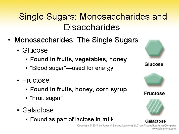 Single Sugars: Monosaccharides and Disaccharides • Monosaccharides: The Single Sugars • Glucose • Found