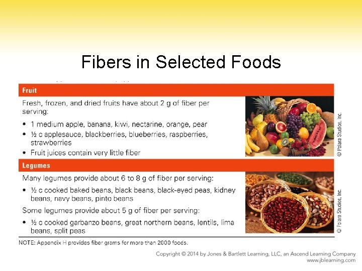 Fibers in Selected Foods 
