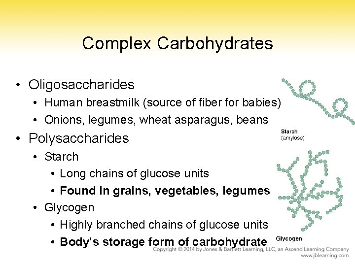 Complex Carbohydrates • Oligosaccharides • Human breastmilk (source of fiber for babies) • Onions,