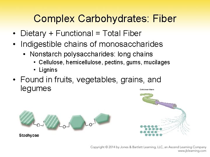 Complex Carbohydrates: Fiber • Dietary + Functional = Total Fiber • Indigestible chains of