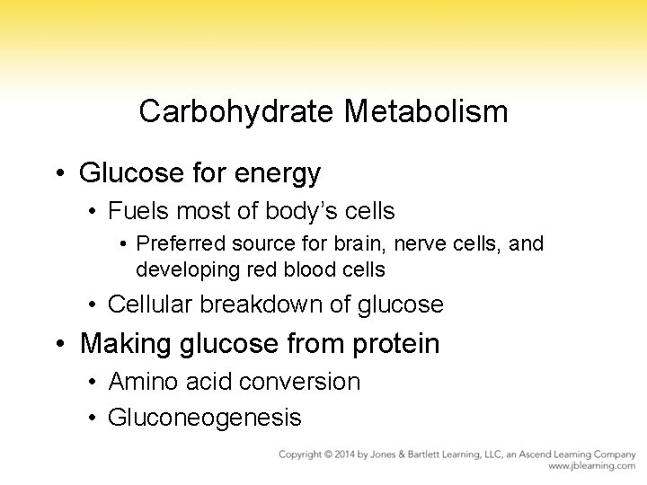 Carbohydrate Metabolism • Glucose for energy • Fuels most of body’s cells • Preferred