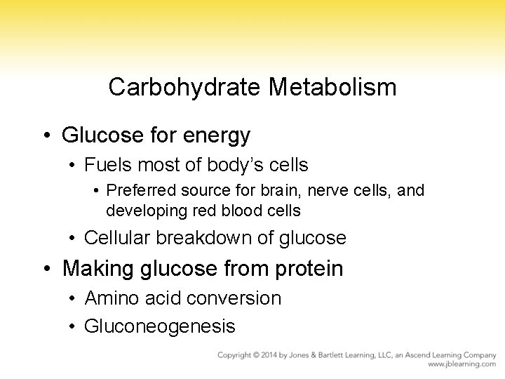Carbohydrate Metabolism • Glucose for energy • Fuels most of body’s cells • Preferred Carbohydrate Metabolism • Glucose for energy • Fuels most of body’s cells • Preferred