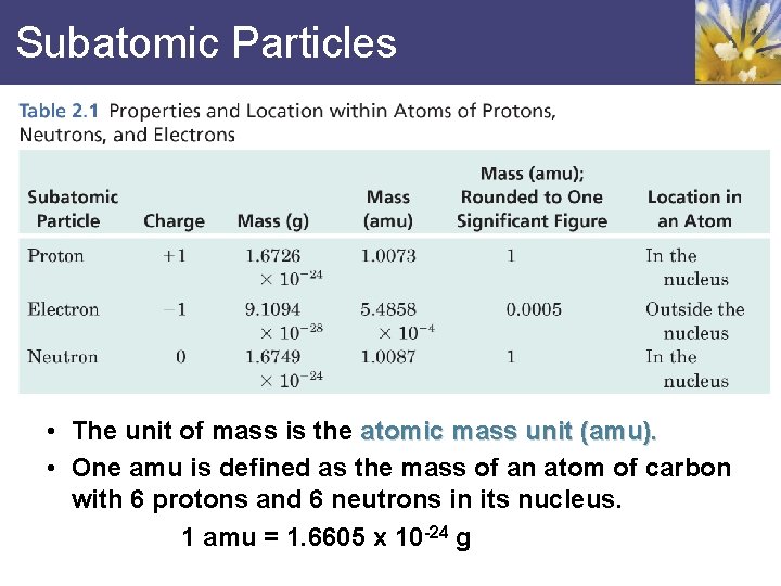 Subatomic Particles • The unit of mass is the atomic mass unit (amu). •