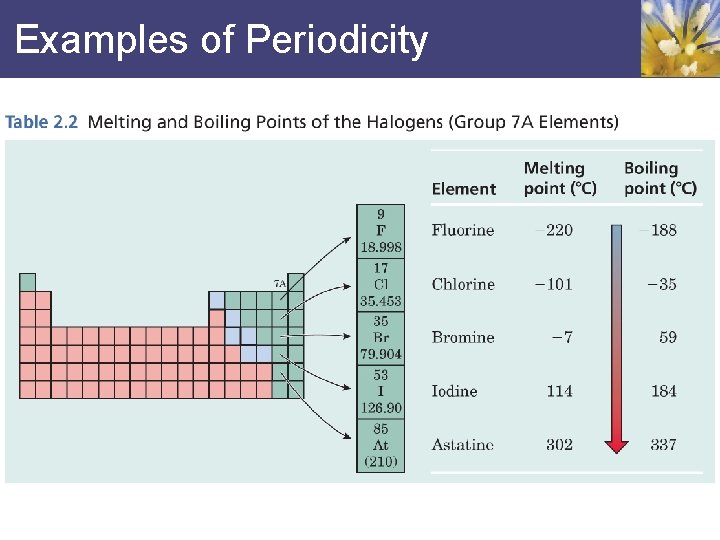 Examples of Periodicity 