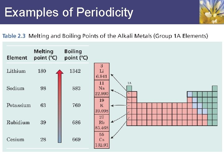 Examples of Periodicity 