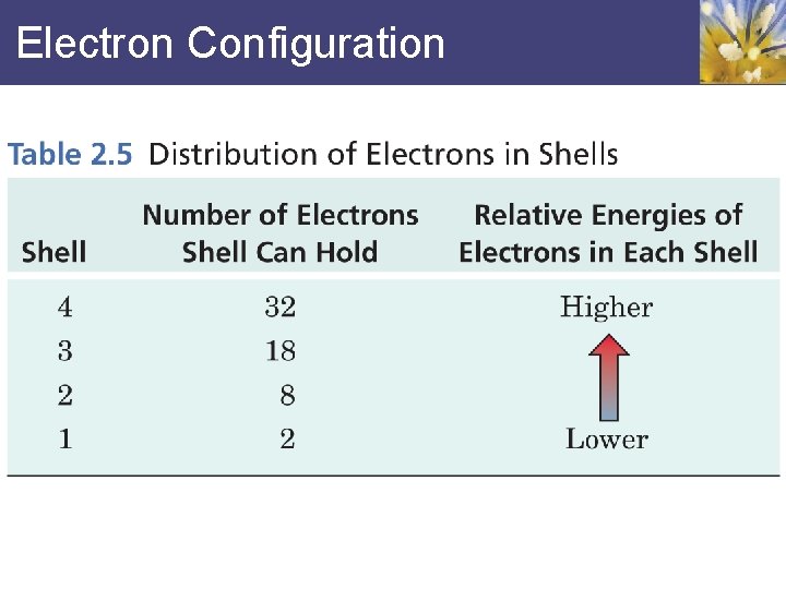 Electron Configuration 