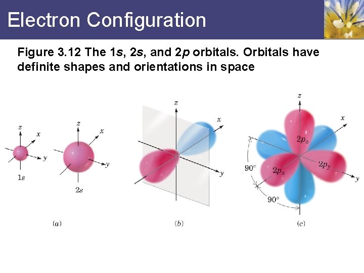 Electron Configuration Figure 3. 12 The 1 s, 2 s, and 2 p orbitals.