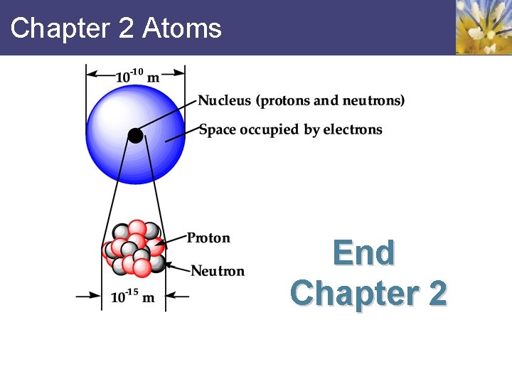 Chapter 2 Atoms End Chapter 2 