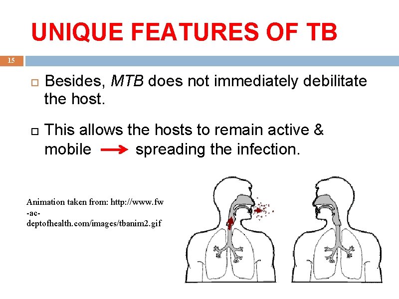 UNIQUE FEATURES OF TB 15 Besides, MTB does not immediately debilitate the host. This