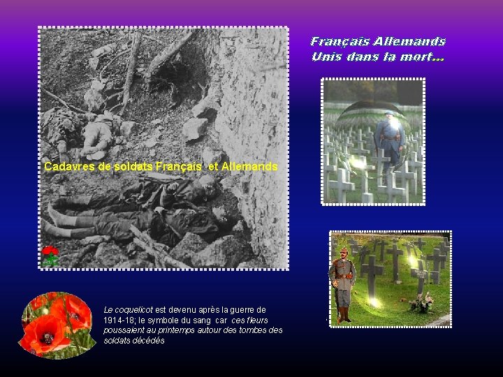 Français Allemands Unis dans la mort… Cadavres de soldats Français et Allemands Le coquelicot