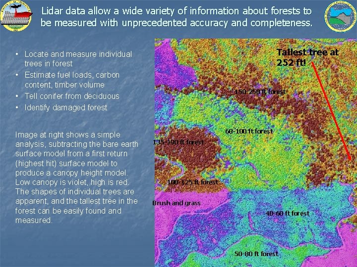 Lidar data allow a wide variety of information about forests to be measured with