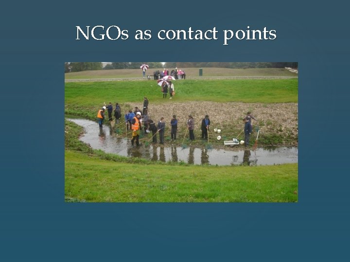 NGOs as contact points 