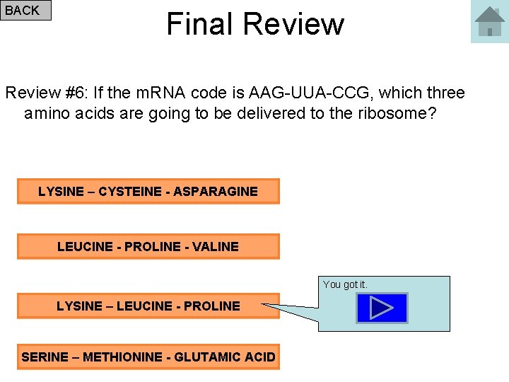 BACK Final Review #6: If the m. RNA code is AAG-UUA-CCG, which three amino