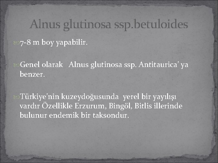Alnus glutinosa ssp. betuloides 7 -8 m boy yapabilir. Genel olarak Alnus glutinosa ssp. Alnus glutinosa ssp. betuloides 7 -8 m boy yapabilir. Genel olarak Alnus glutinosa ssp.