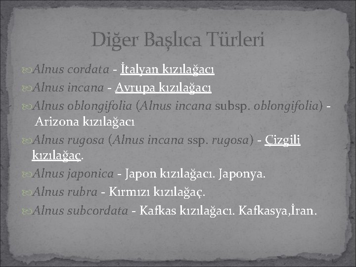 Diğer Başlıca Türleri Alnus cordata - İtalyan kızılağacı Alnus incana - Avrupa kızılağacı Alnus Diğer Başlıca Türleri Alnus cordata - İtalyan kızılağacı Alnus incana - Avrupa kızılağacı Alnus