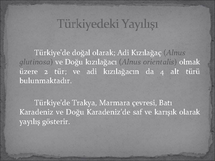 Türkiyedeki Yayılışı Türkiye'de doğal olarak; Adi Kızılağaç (Alnus glutinosa) ve Doğu kızılağacı (Alnus orientalis) Türkiyedeki Yayılışı Türkiye'de doğal olarak; Adi Kızılağaç (Alnus glutinosa) ve Doğu kızılağacı (Alnus orientalis)