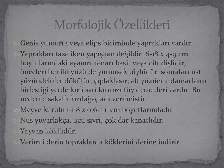 Morfolojik Özellikleri Geniş yumurta veya elips biçiminde yaprakları vardır. Yaprakları taze iken yapışkan değildir. Morfolojik Özellikleri Geniş yumurta veya elips biçiminde yaprakları vardır. Yaprakları taze iken yapışkan değildir.