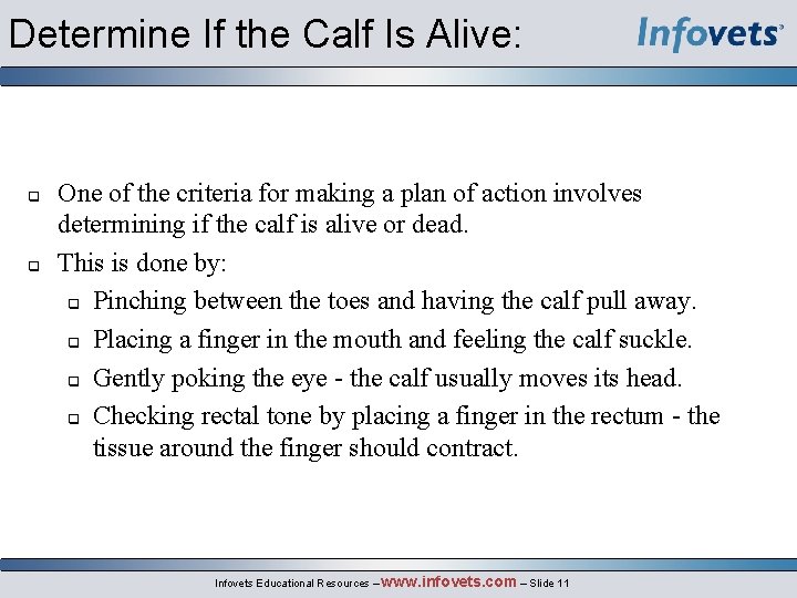 Determine If the Calf Is Alive: q q One of the criteria for making