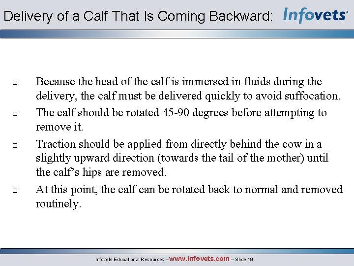 Delivery of a Calf That Is Coming Backward: q q Because the head of