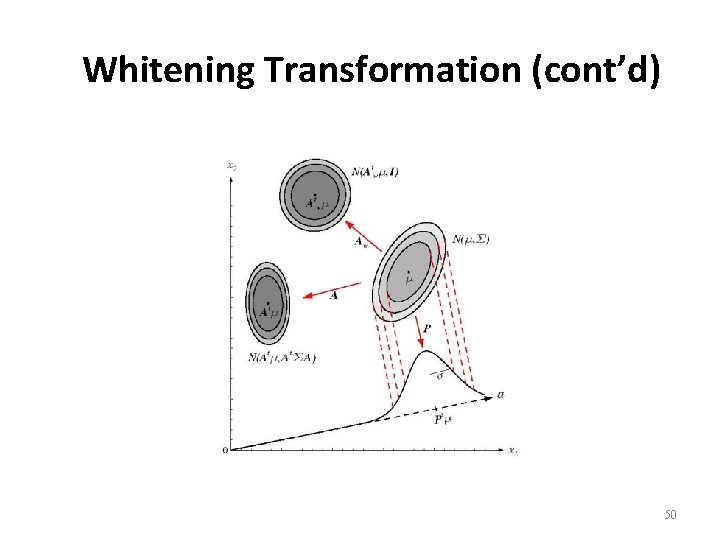 Whitening Transformation (cont’d) 50 