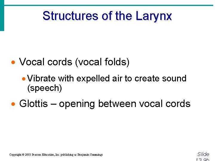 Structures of the Larynx · Vocal cords (vocal folds) · Vibrate with expelled air