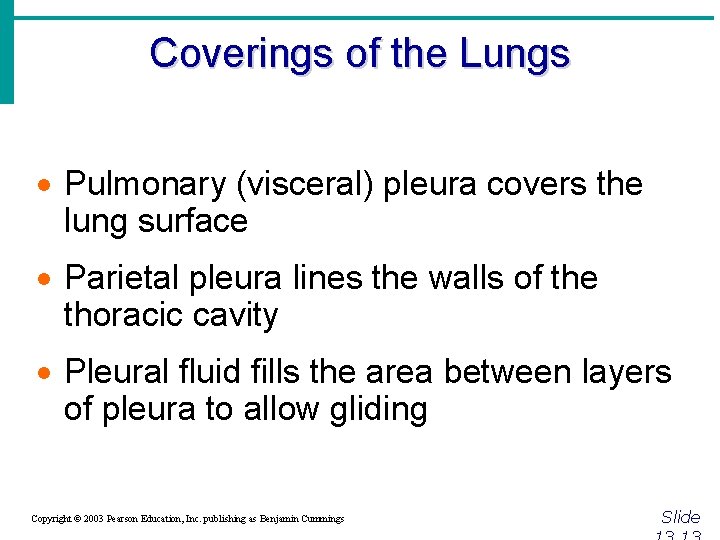 Coverings of the Lungs · Pulmonary (visceral) pleura covers the lung surface · Parietal