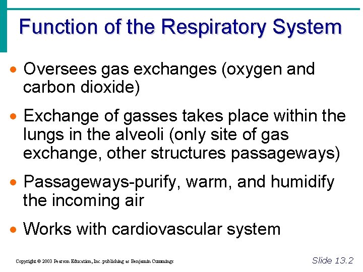 Function of the Respiratory System · Oversees gas exchanges (oxygen and carbon dioxide) ·