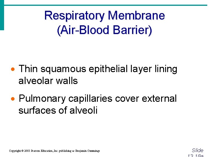 Respiratory Membrane (Air-Blood Barrier) · Thin squamous epithelial layer lining alveolar walls · Pulmonary