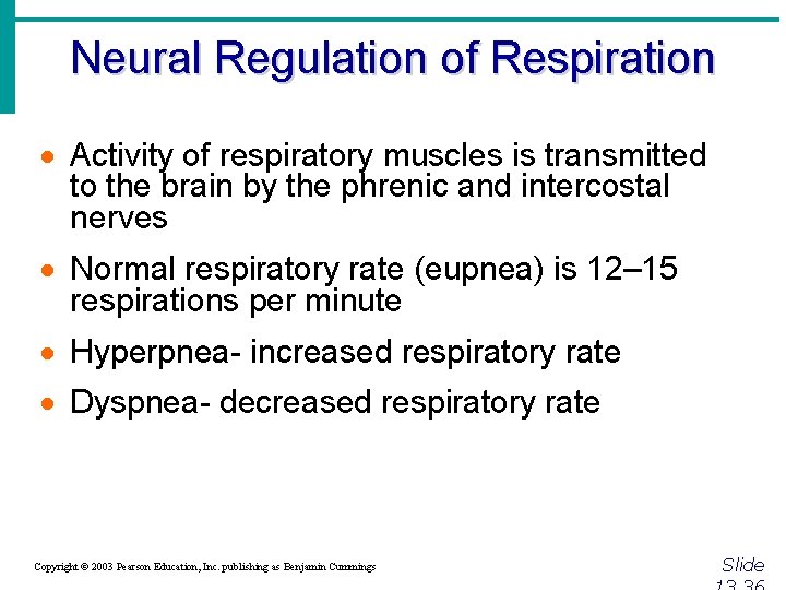 Neural Regulation of Respiration · Activity of respiratory muscles is transmitted to the brain