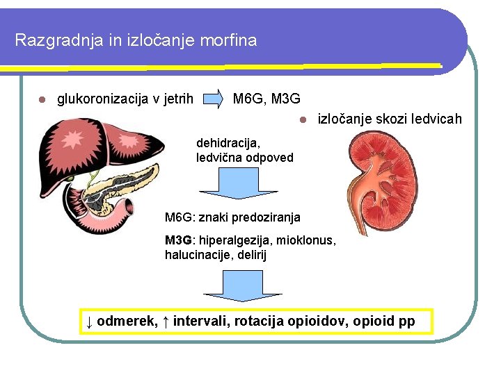 Razgradnja in izločanje morfina l glukoronizacija v jetrih M 6 G, M 3 G