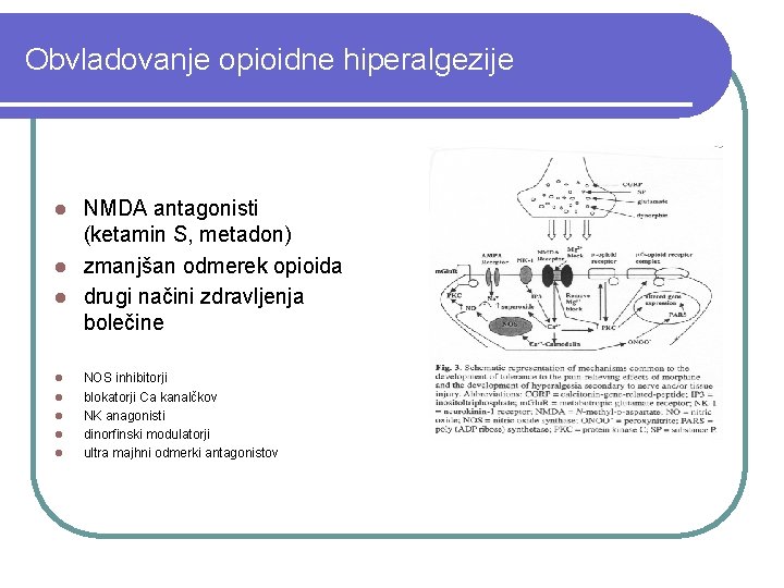 Obvladovanje opioidne hiperalgezije NMDA antagonisti (ketamin S, metadon) l zmanjšan odmerek opioida l drugi
