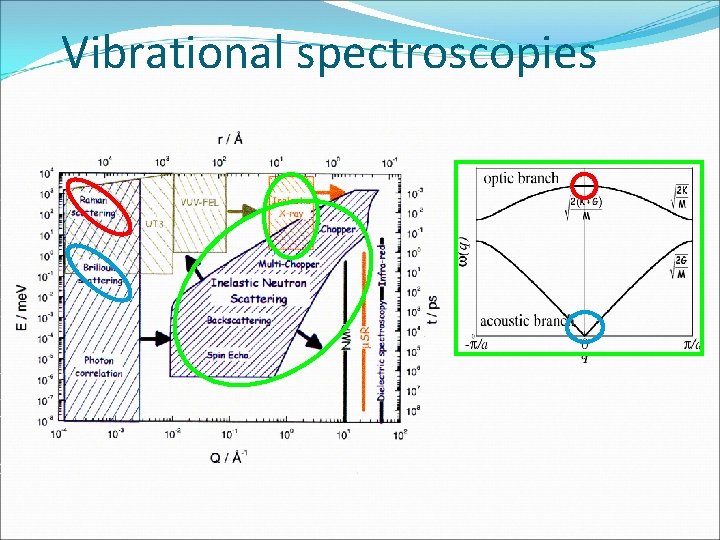 Vibrational spectroscopies 