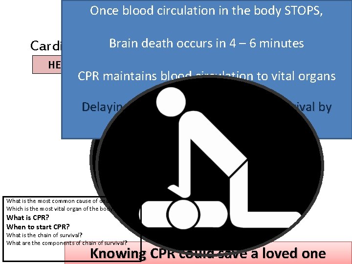 Once blood circulation in the body STOPS, CPR Brain death occurs in 4 –