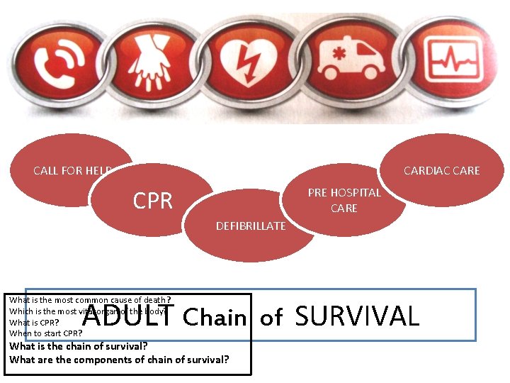 CALL FOR HELP CARDIAC CARE CPR PRE HOSPITAL CARE DEFIBRILLATE ADULT Chain of SURVIVAL