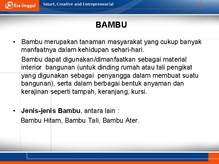 BAMBU • Bambu merupakan tanaman masyarakat yang cukup banyak manfaatnya dalam kehidupan sehari-hari. Bambu