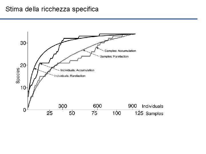 Stima della ricchezza specifica 